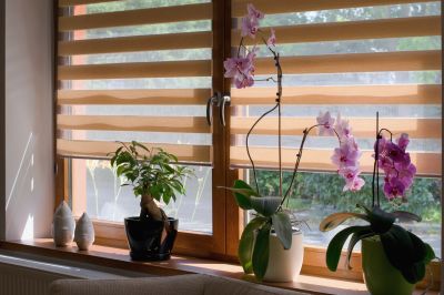 Plantation Blinds Repair in Boulder, CO