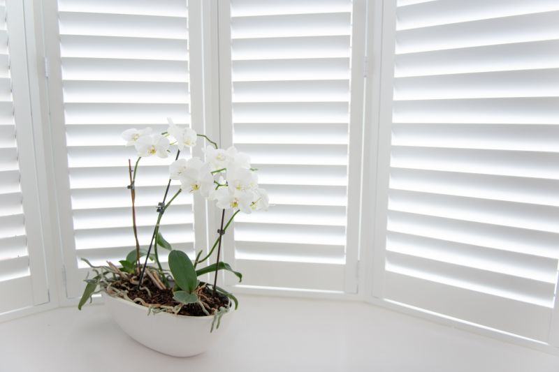 Shutter Mounting in Overland Park, KS